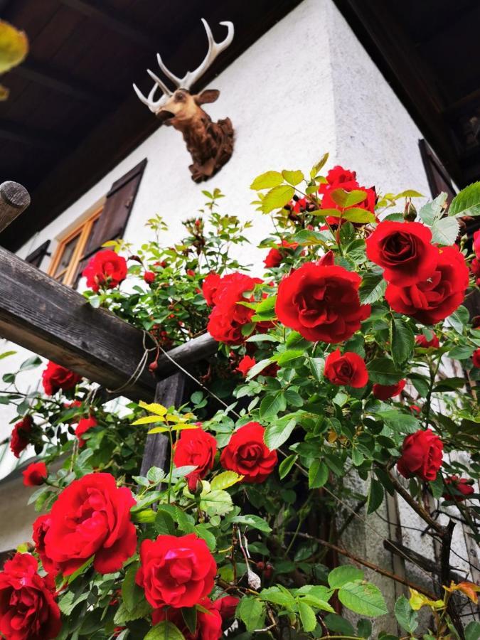 Bed and Breakfast Gaestehaus Neu Am Passionstheater Oberammergau Exteriér fotografie